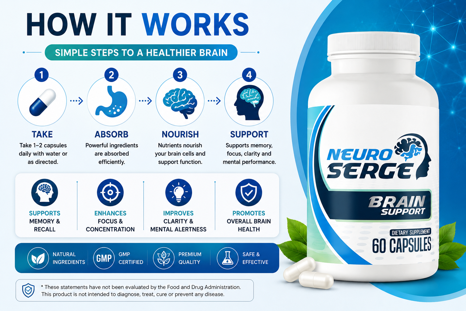 Neuro Serge how it works: take, absorb, nourish, support